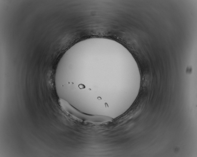 X0000102041202200808081827