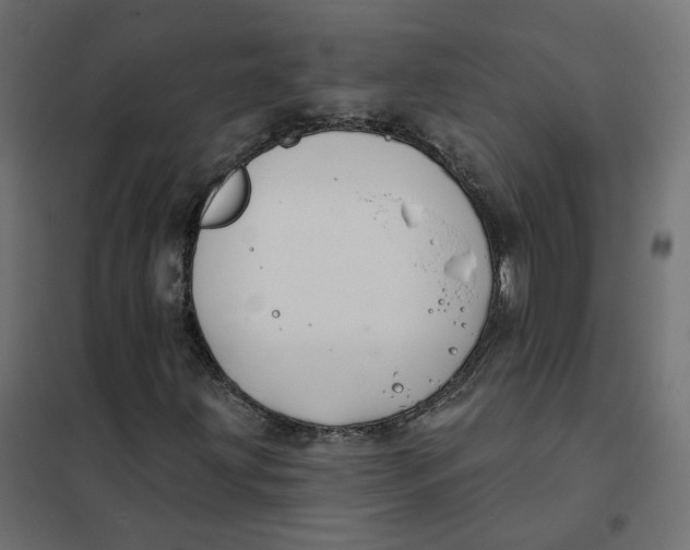 X0000102041203200808081827