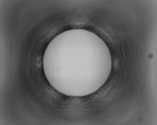 X0000102041204200808081827