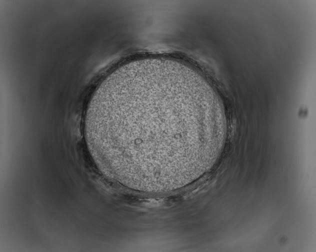 X0000102041205200808081827