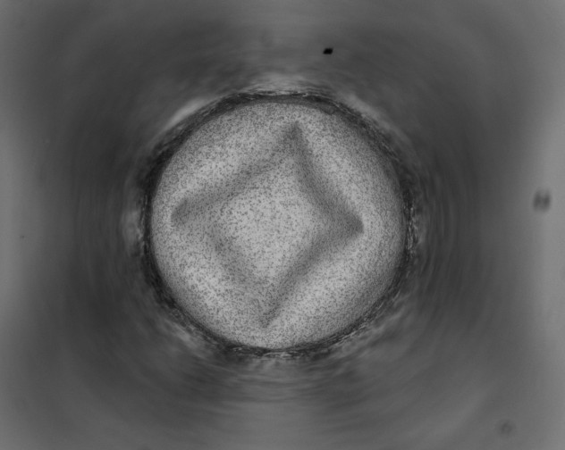 X0000102041206200808081827