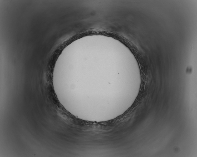 X0000102041207200808081827