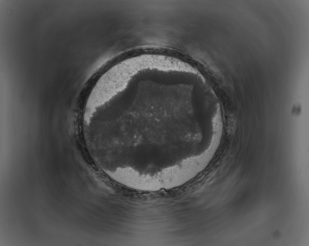 X0000102041208200808081827