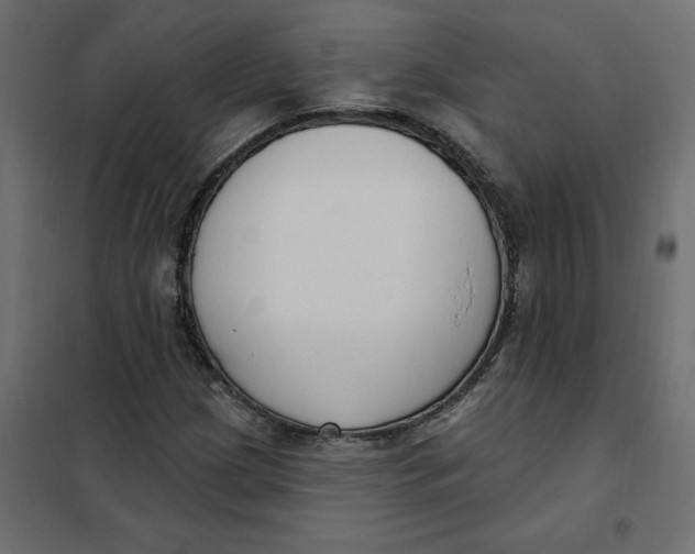 X0000102041209200808081827