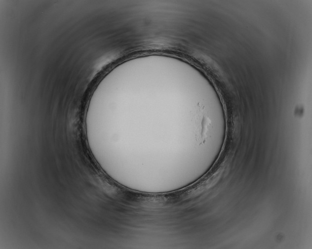 X0000102041210200808081827