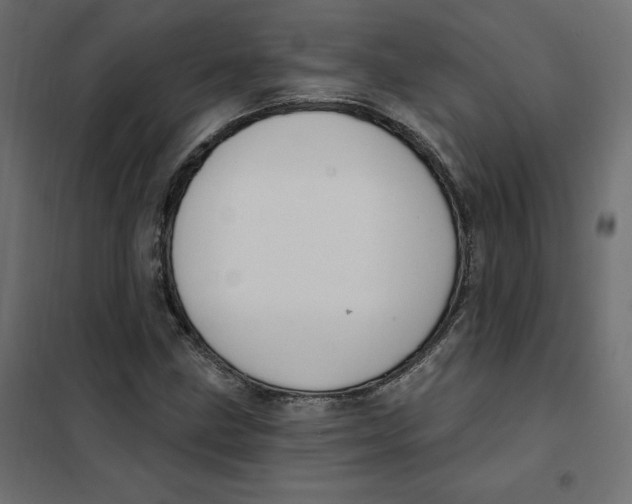 X0000102041211200808081827