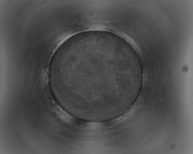 X0000102041212200808081827