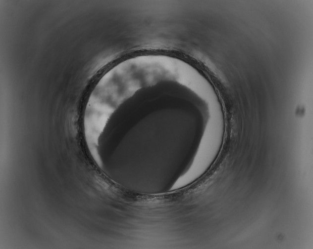 X0000102041213200808081827