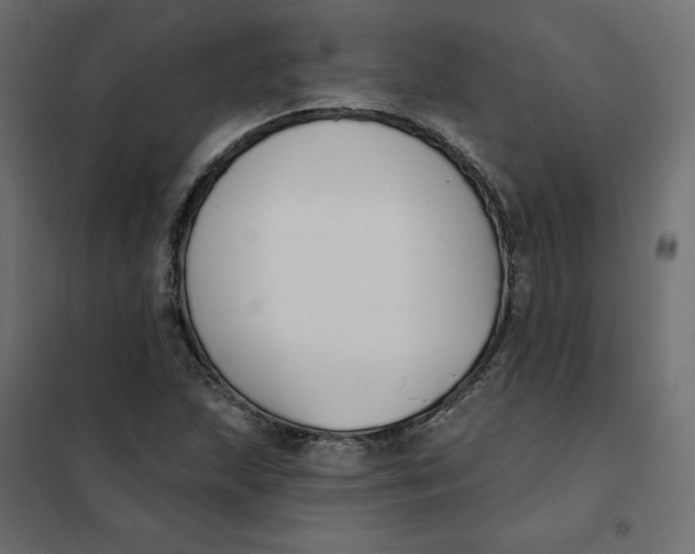 X0000102041215200808081827