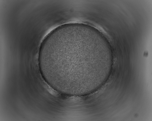 X0000102041216200808081827