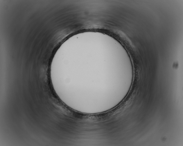 X0000102041217200808081827