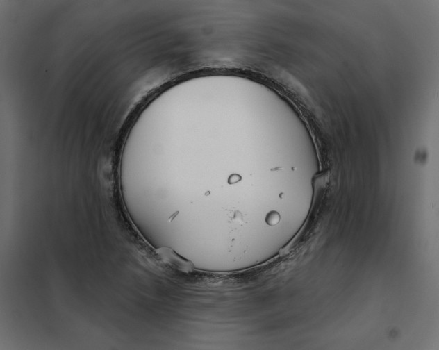 X0000102041218200808081827