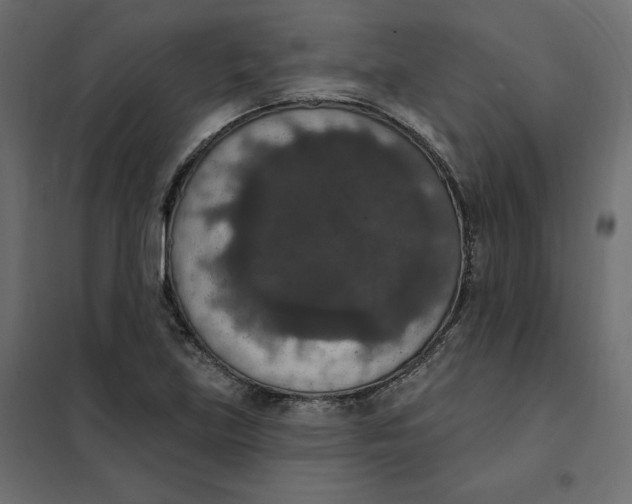 X0000102041219200808081827