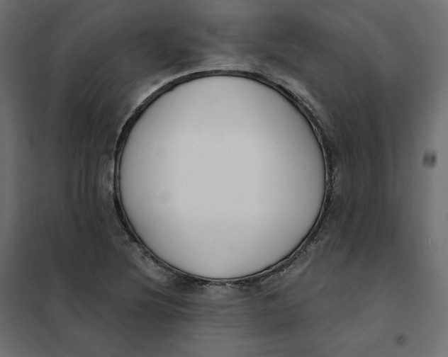 X0000102041220200808081827