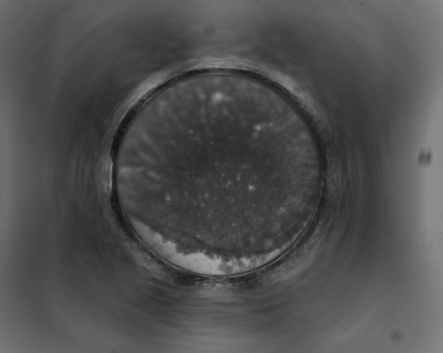 X0000102041221200808081827