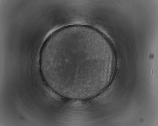 X0000102041222200808081827