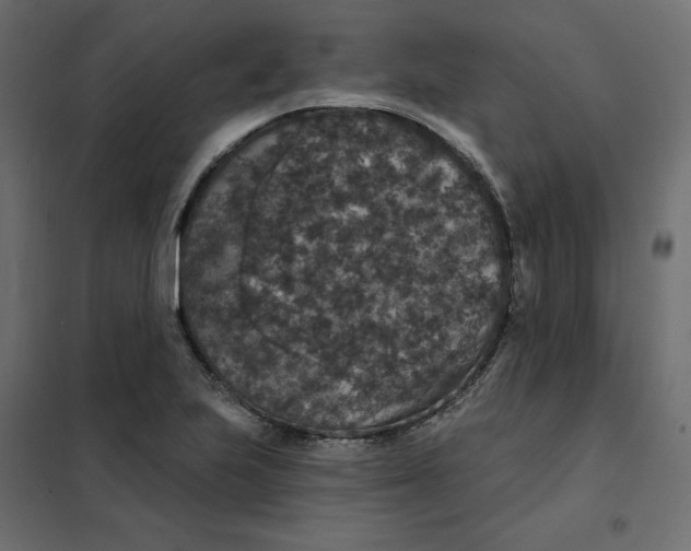 X0000102041223200808081827