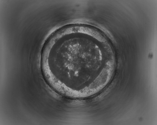 X0000102041224200808081827