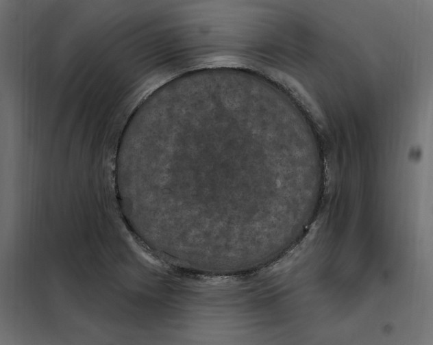 X0000102041225200808081827