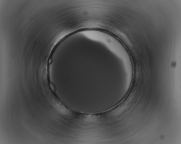 X0000102041226200808081827