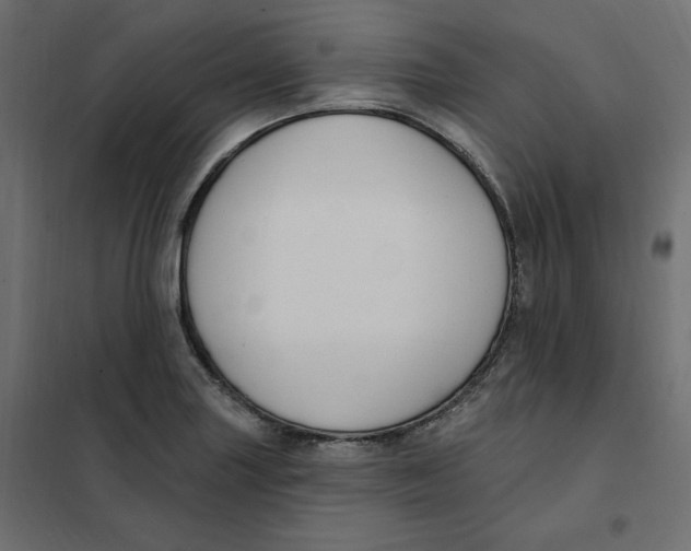 X0000102041227200808081827