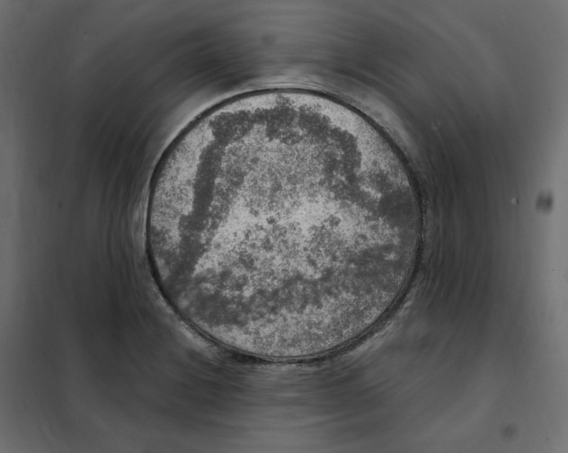 X0000102041228200808081827