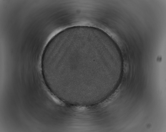 X0000102041230200808081827