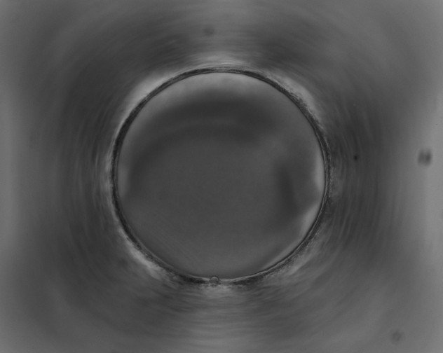 X0000102041231200808081827