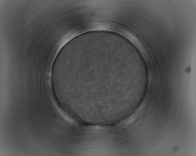 X0000102041234200808081827