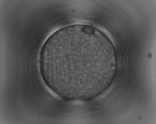 X0000102041235200808081827