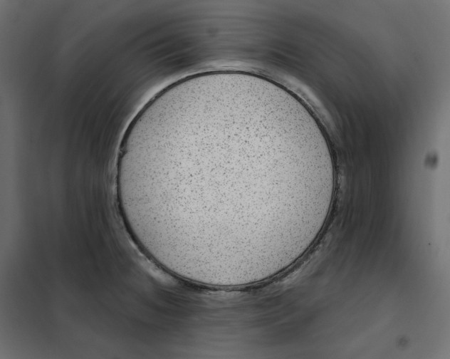 X0000102041236200808081827