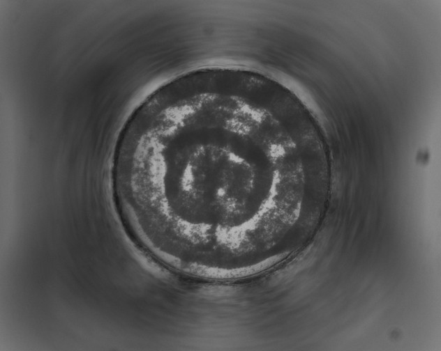 X0000102041237200808081827