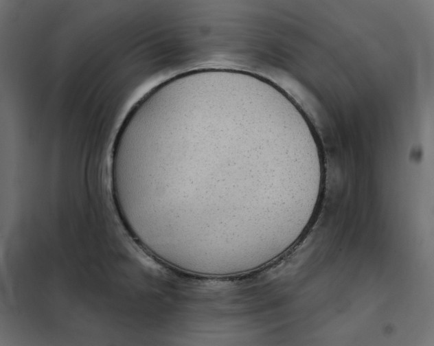 X0000102041238200808081827