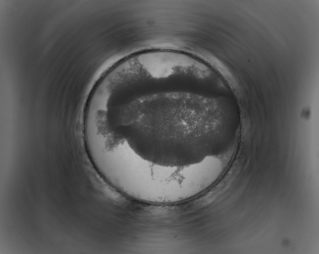 X0000102041240200808081827