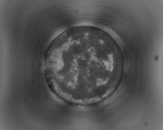 X0000102041241200808081827