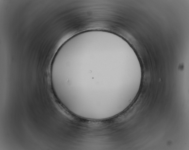 X0000102041242200808081827