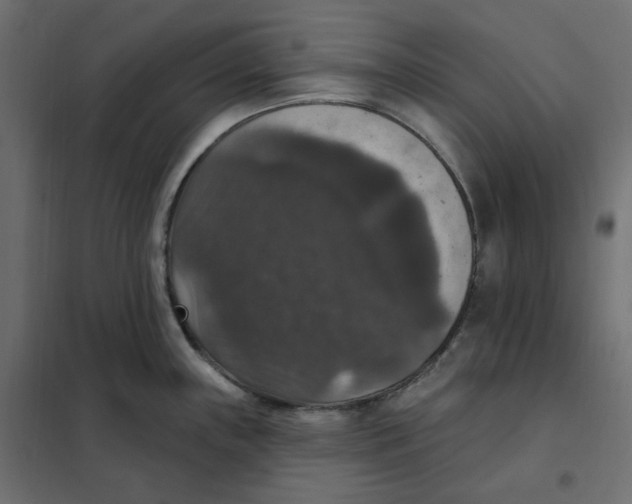 X0000102041243200808081827