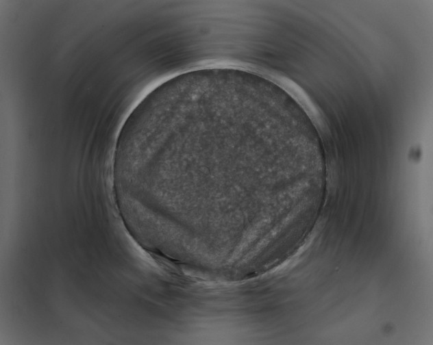 X0000102041244200808081827