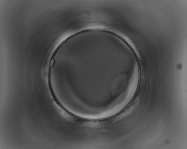 X0000102041245200808081827