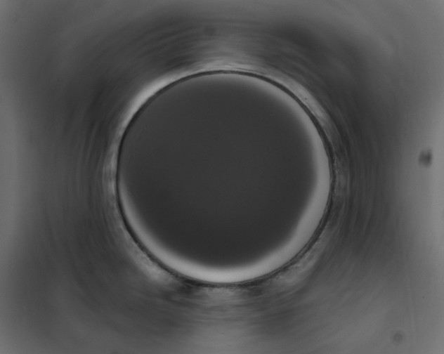 X0000102041246200808081827