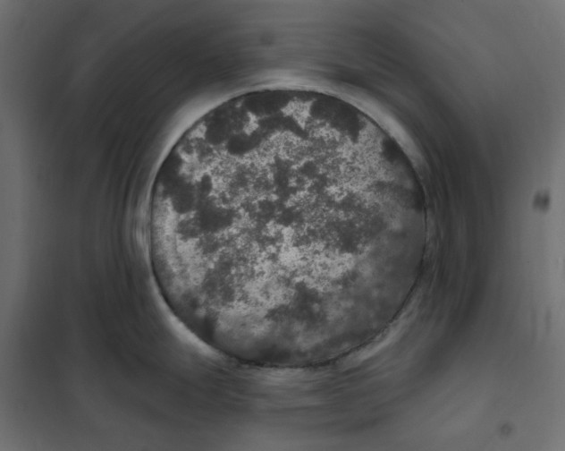 X0000102041247200808081827