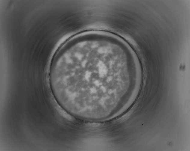 X0000102041248200808081828