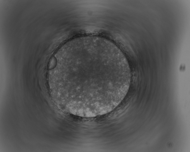 X0000102041249200808081827