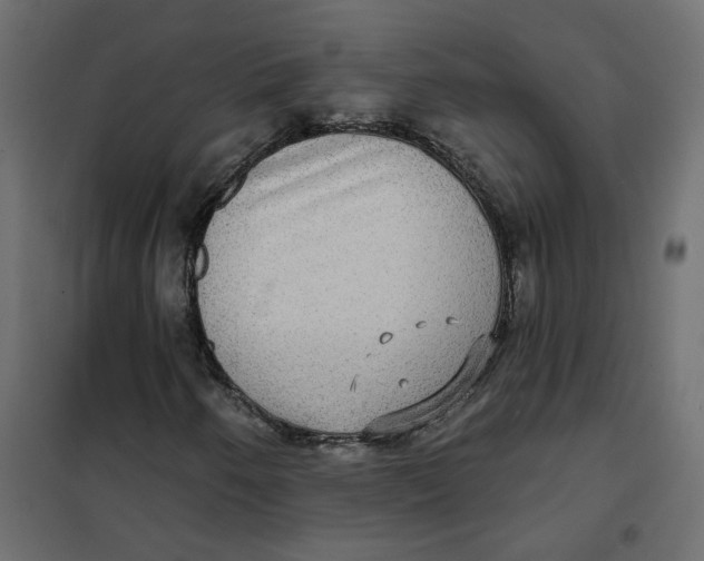 X0000102041250200808081827