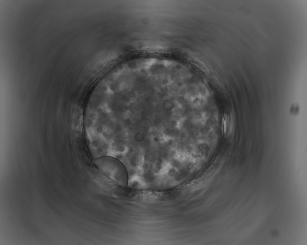 X0000102041251200808081827