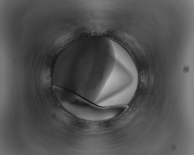 X0000102041252200808081827