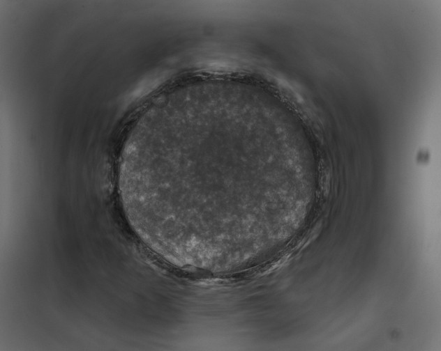 X0000102041253200808081827