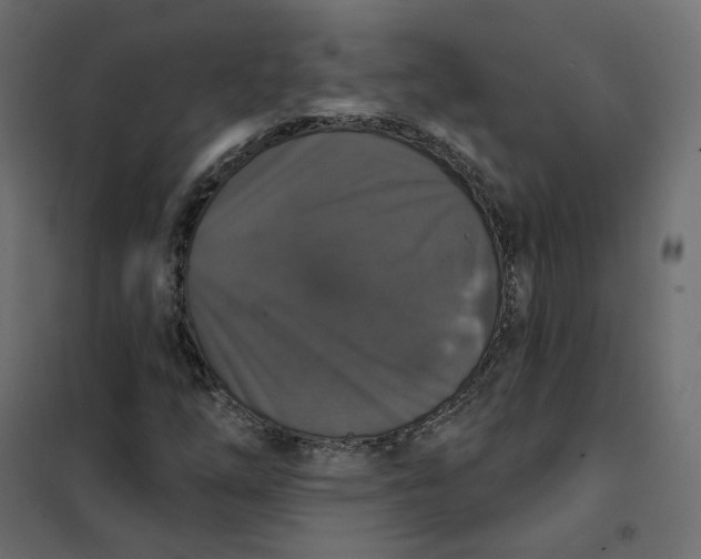 X0000102041254200808081827