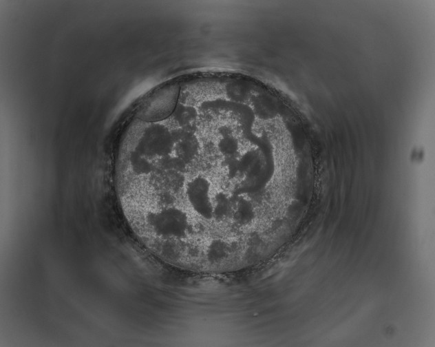 X0000102041255200808081827