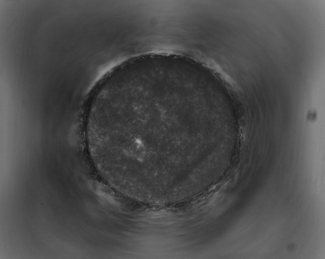 X0000102041256200808081827